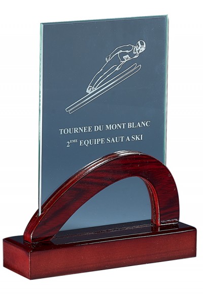 Trophée Verre & Bois Laserable 165-11