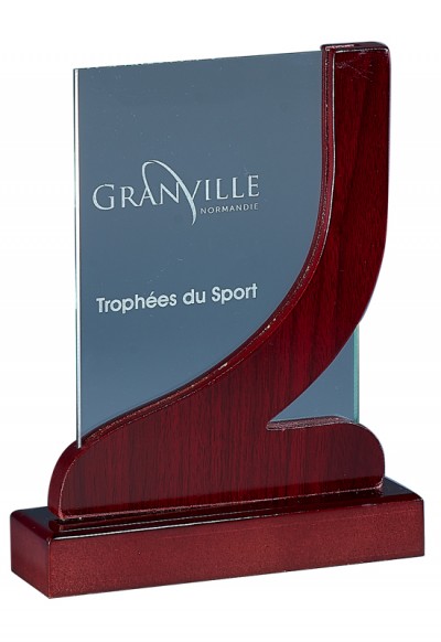 Trophée Verre & Bois Laserable 165-01