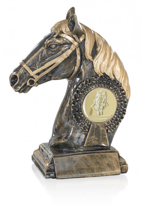 Trophée équitation 52656