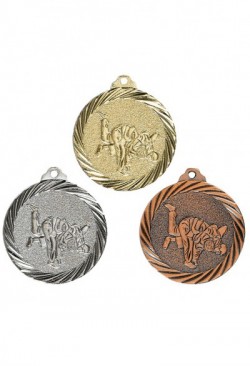 Médaille Ã˜ 32 mm Judo  - NX11