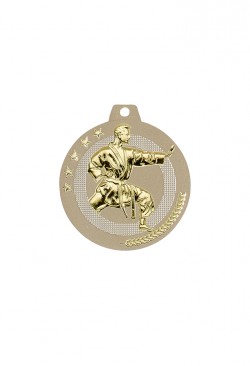 Médaille Ã˜ 50 mm Karaté  - NQ08