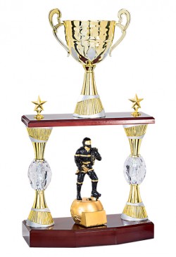 Trophée Personnalisé Figurine 147-51-RP