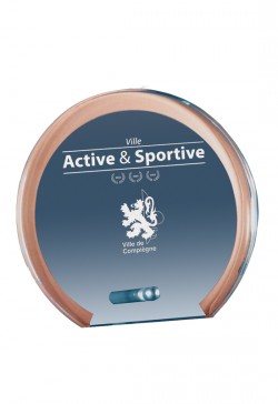 Trophée Verre Personnalisé 168-01-CLI
