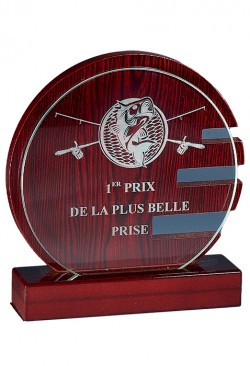Trophée Verre & Bois Personnalisé 163-11-CLI