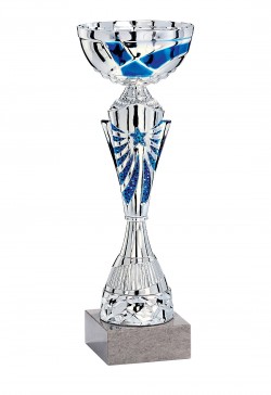 Coupe Économique Métal : 2171