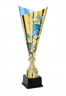 Coupe Laser Métal : 3881