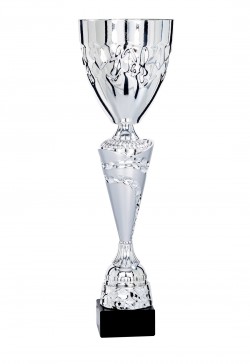 Coupe Classique Métal : 4951
