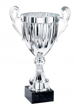 Coupe Prestige Métal : 6151