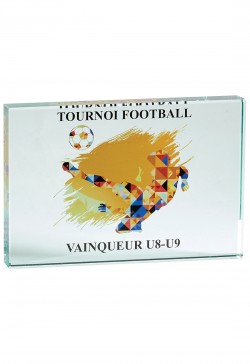 Trophée Verre Personnalisé 155-21-SU