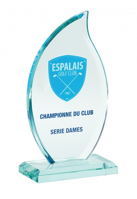 Trophée Verre Personnalisé 156-71-SU