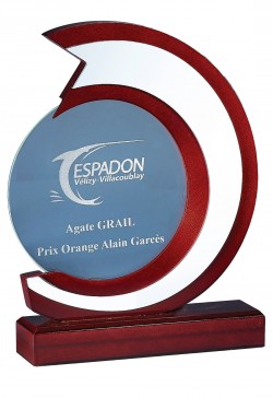 Trophée Personnalisé 164-61-CLI