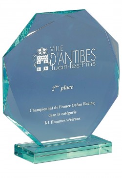 Trophée Verre Personnalisé 169-61-CLI