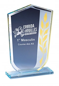 Trophée Verre Personnalisé 171-01-CLI