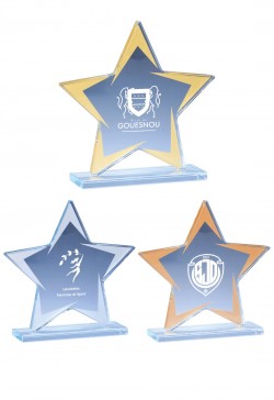 Trophée Verre Personnalisé 173-01-CLI