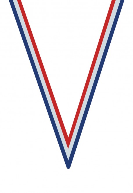 Ruban Médaille  Bleu/Blanc/Rouge  : 6022
