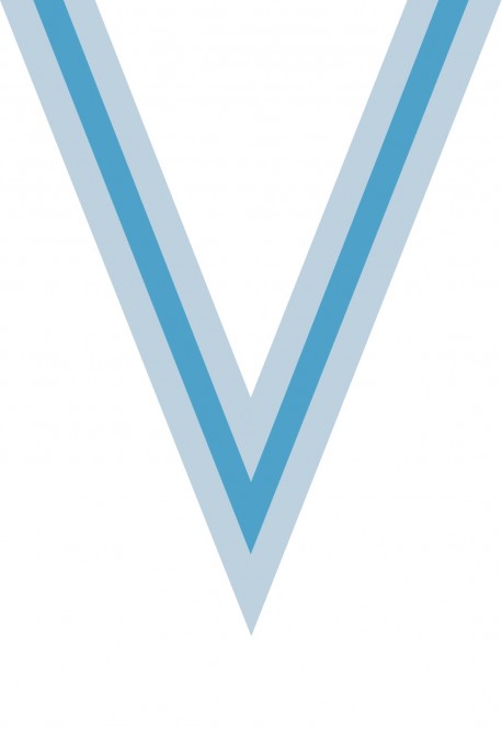 Ruban Médaille  Blanc/Bleu ciel/Blanc : 6053