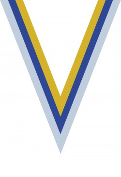 Ruban Médaille  Blanc/Bleu/Jaune : 6056