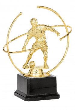 Trophée Football Masculin  84-11