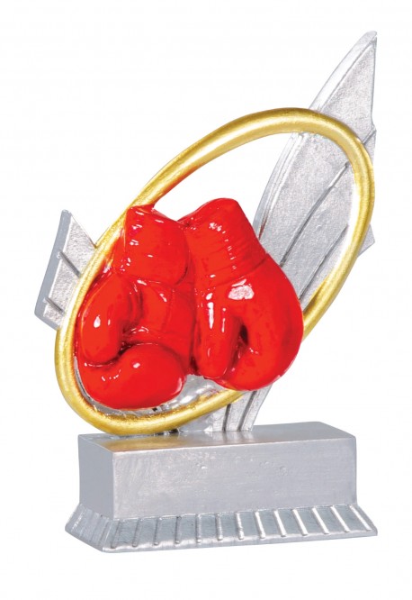 Trophée Boxe 31404