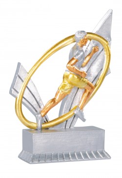 Trophée Course à pied 31409