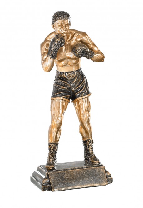 Trophée Boxe 52535