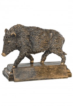 Trophée Chasse Sanglier 52566