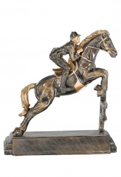 Trophée Équitation 52538