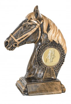 Trophée Équitation 52656