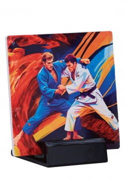 Trophée Céramique Judo 47504