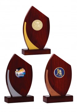 Trophée Personnalisé Médaillon 138-01-C