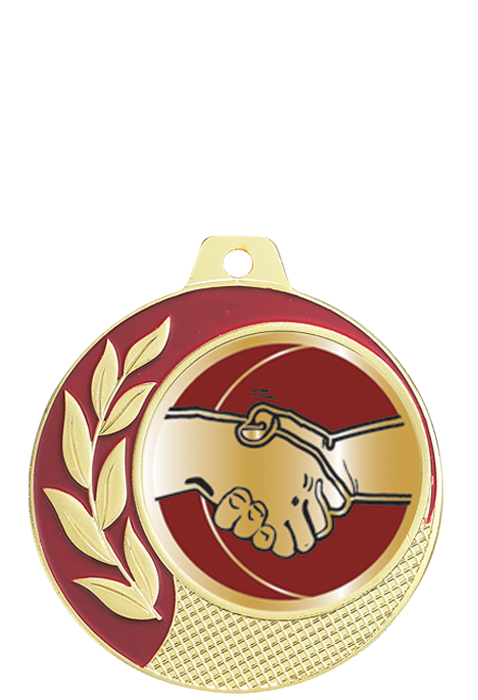 Médaille Ã˜ 70 mm Amitié  - CZ01