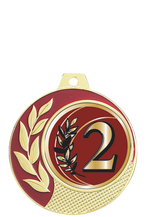 Médaille Ã˜ 70 mm Classement  - CZ27