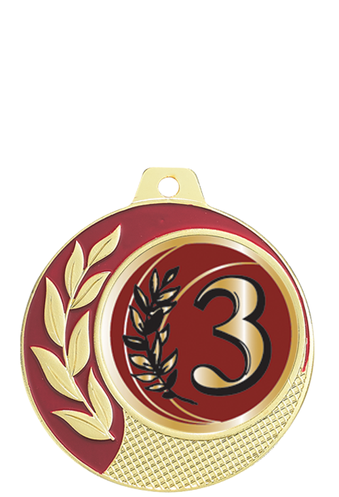 Médaille Ã˜ 70 mm Classement  - CZ28