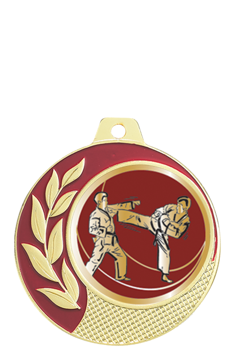 Médaille Ã˜ 70 mm Karaté  - CZ17
