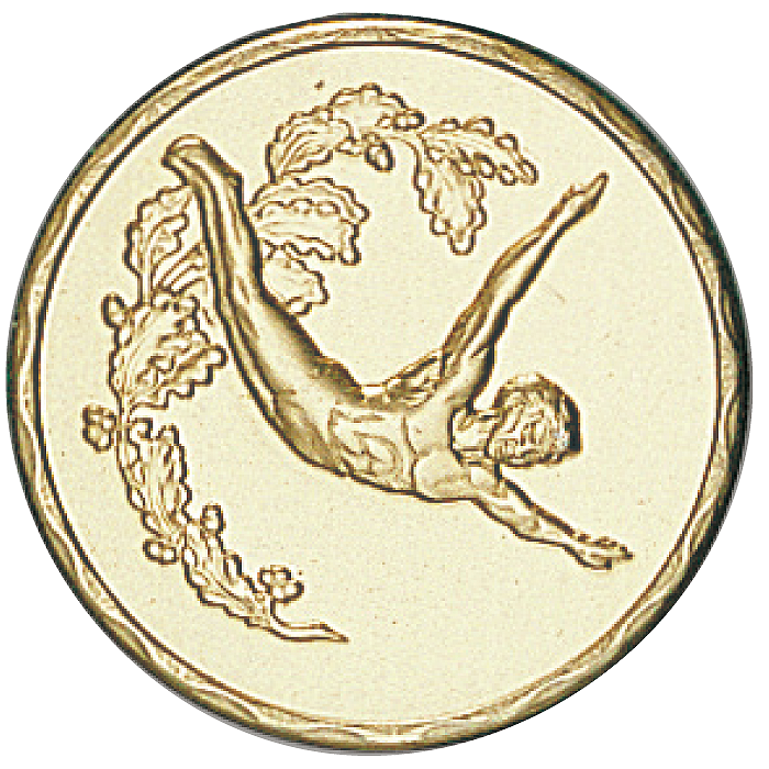 Médaille Personnalisée Ã˜ 70 mm - Q-044