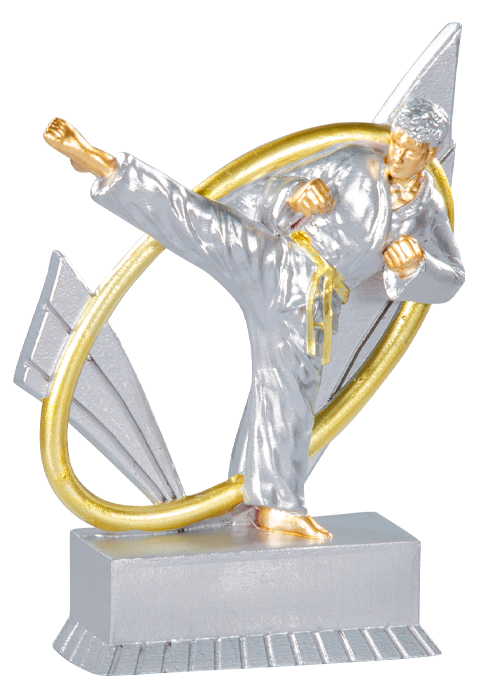 Trophée Karaté 31419