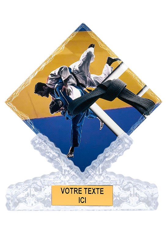 Trophée Judo 46114