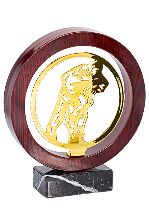 Trophée Bois Métal Judo JX04