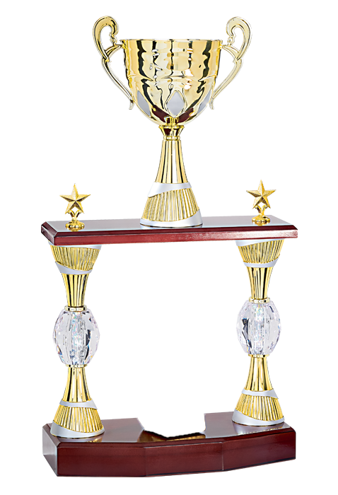 Trophée Personnalisé Figurine 147-51-RP