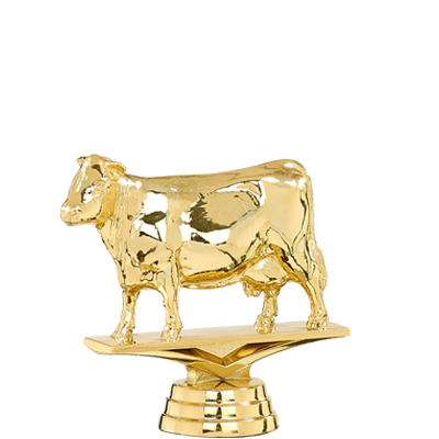 Trophée Personnalisé Figurine 144-41-D