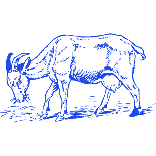 Trophée Verre Personnalisé 156-01-SU