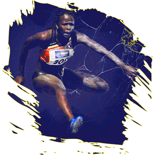 Trophée Bois Personnalisé  : BW31-SU