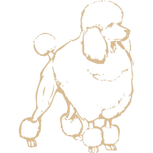 Plateau Métal Personnalisé : 184-41-CLI