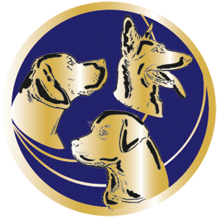 Médaille Personnalisée Ø 70 mm - Q-037