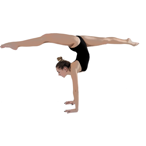 Plaque de distinction 189-21-SU