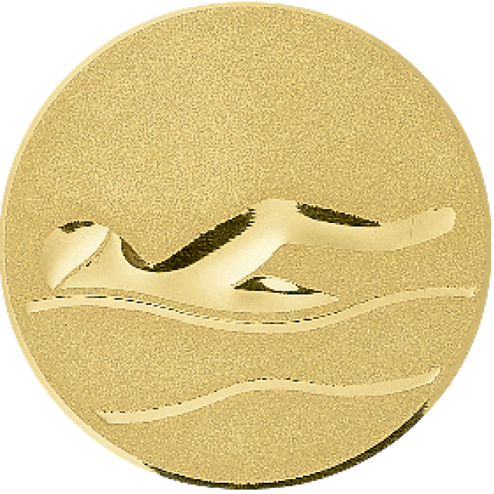 Médaille Personnalisée Ø 50 mm - 041